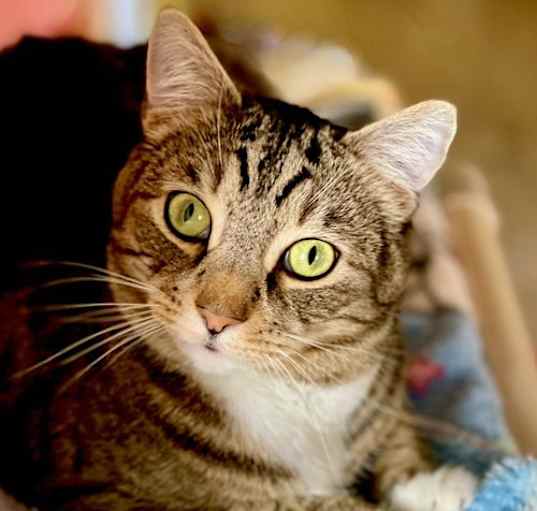 Photo of Sparky