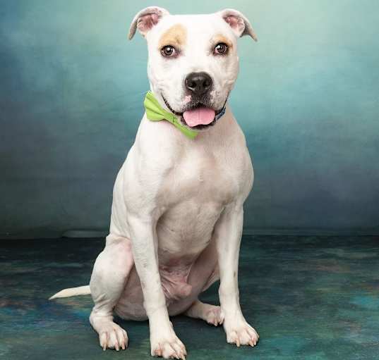 Photo of PETEY