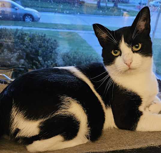 Photo of Bingo