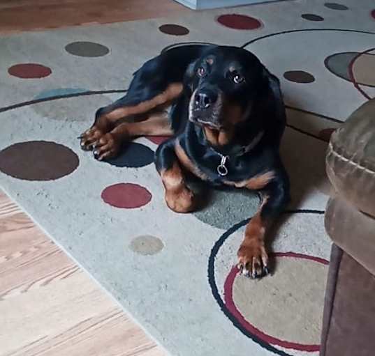 Photo of Mabel