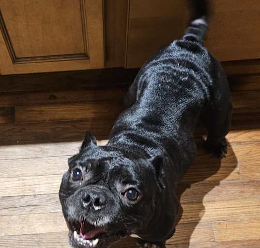 Photo of Glitch