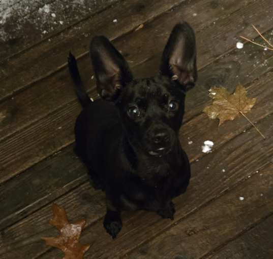 Photo of Junior
