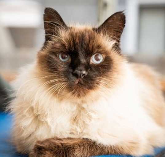Photo of Skeeter
