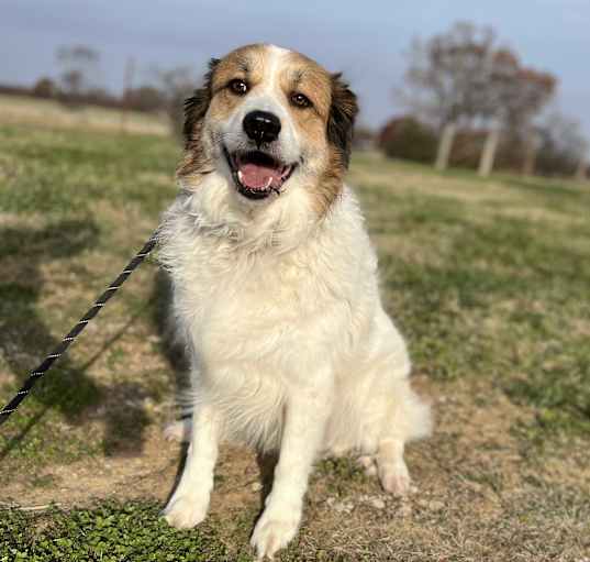Photo of Sawyer
