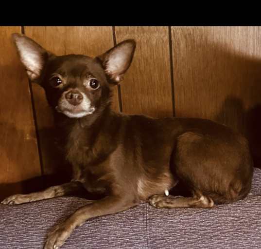 Photo of Hershey