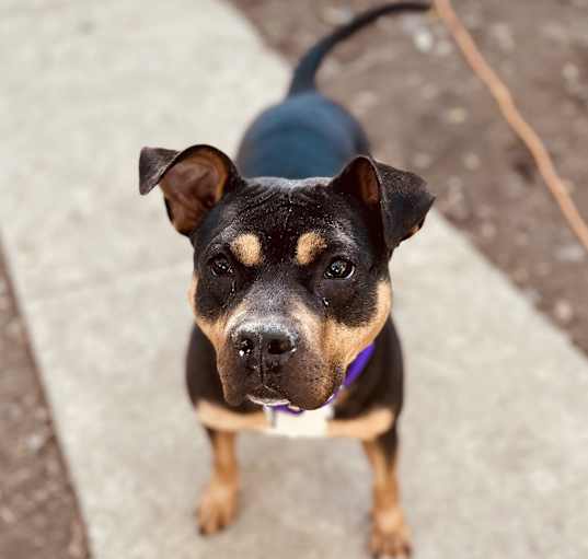 Photo of Penelope