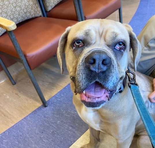 Photo of 2411-1101 Faith (Off Site Foster)