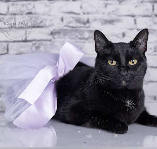 Photo of Wednesday