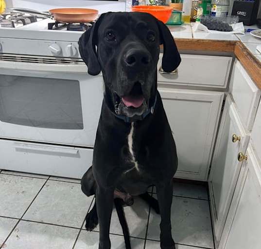 Photo of Rudy *Courtesy Post*