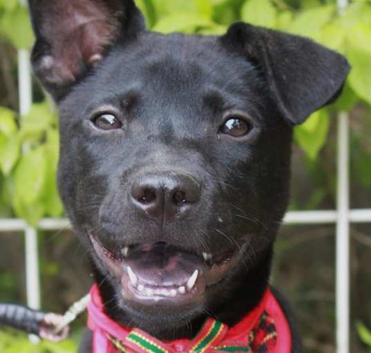 Photo of Arya