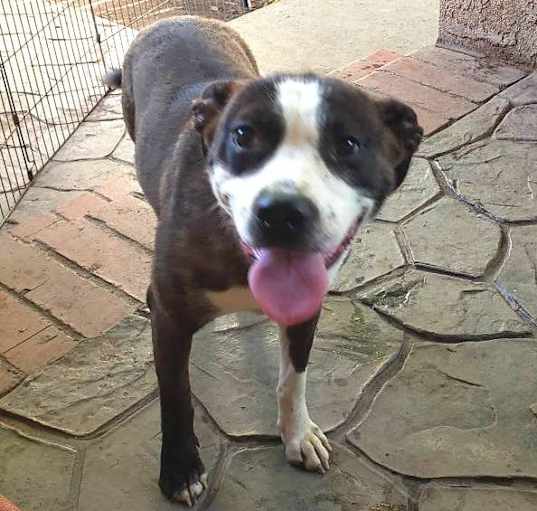 Photo of CHARM