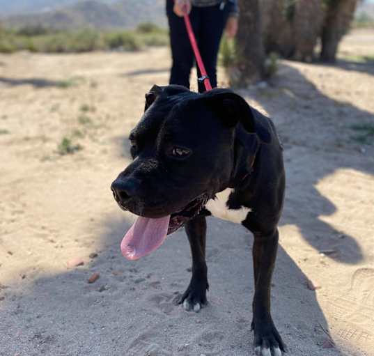 Photo of JAZZ