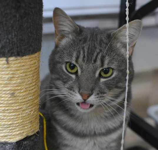 Photo of Alphonse