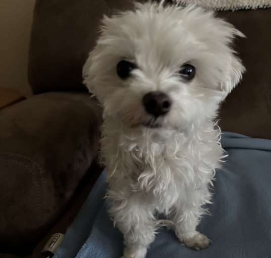Photo of Marco