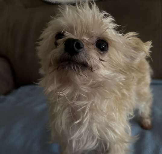 Photo of Leo