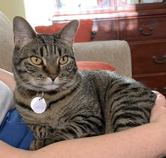 Photo of Arwen