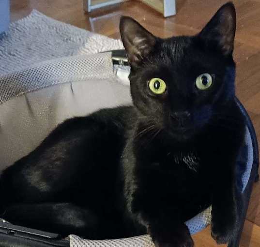 Photo of Charlie