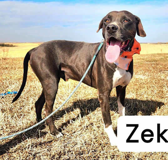 Photo of Zeke