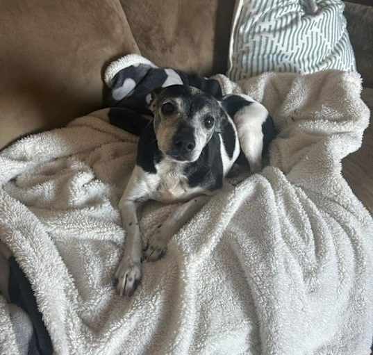 Photo of Daisy CC~