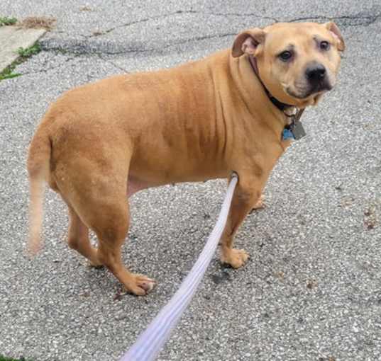 Photo of Holly