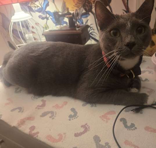 Photo of Mr. S
