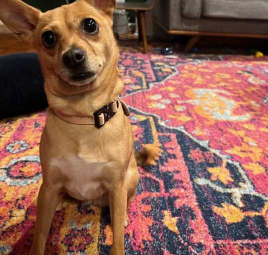 Photo of Hazel