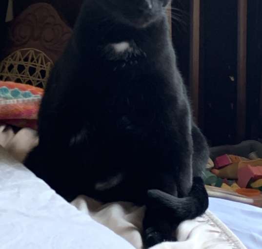 Photo of Nova Bean