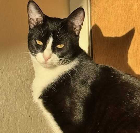 Photo of Maggie May
