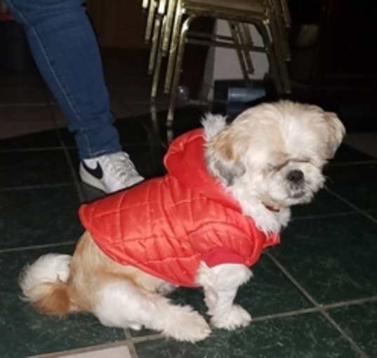Photo of Pirate