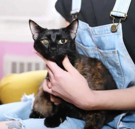 Photo of Ramona