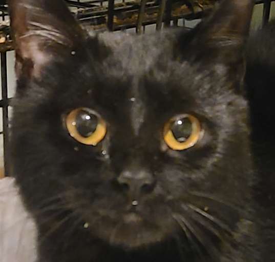 Photo of Sugar