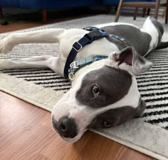 Photo of Cali