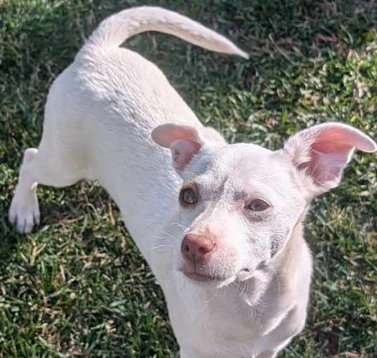 Photo of Raider
