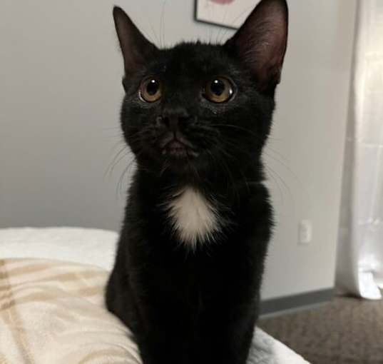 Photo of Selina