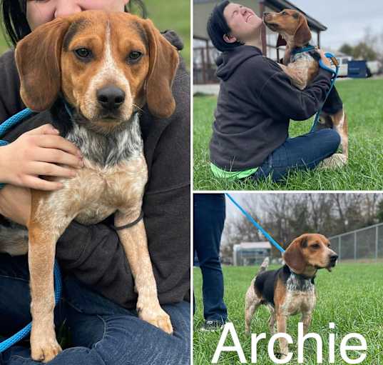 Photo of Archie
