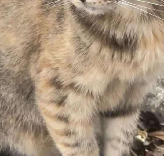 Photo of Tia