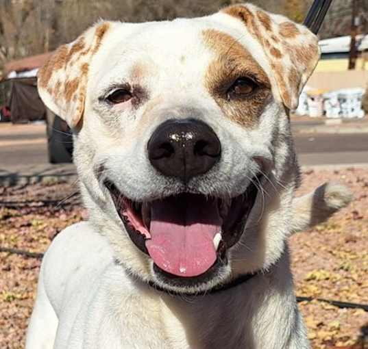 Photo of Dot