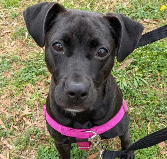 Photo of Tootsie