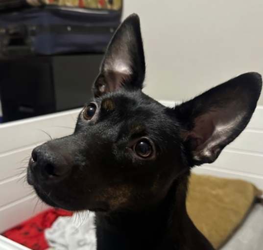 Photo of Ruthie