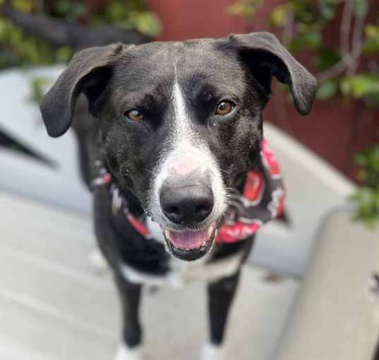 Photo of Tuppance