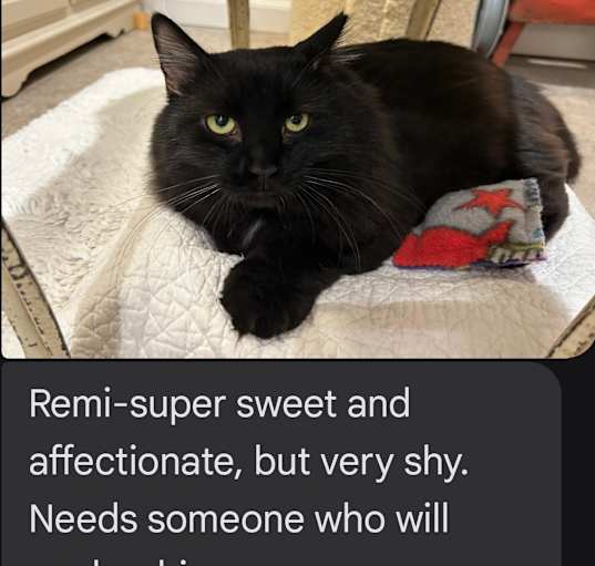 Photo of Remi