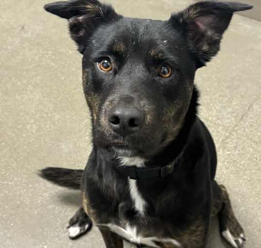 Photo of Calypso