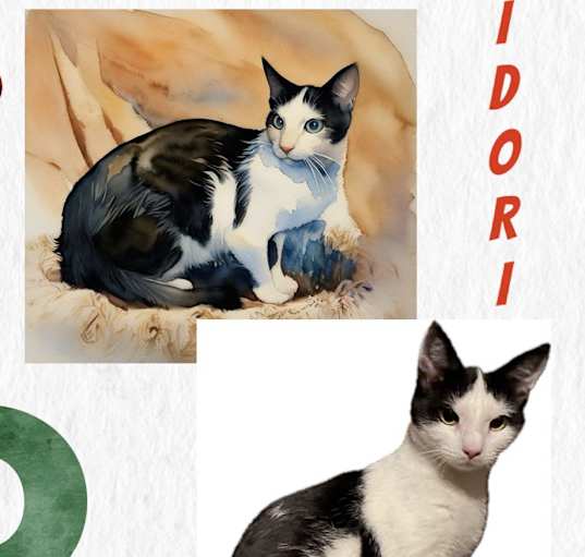 Photo of Midori