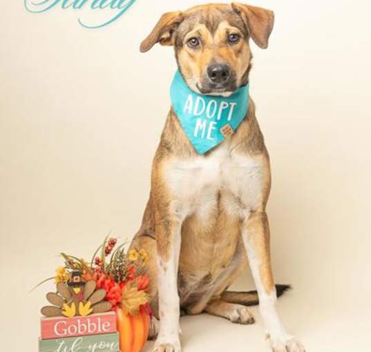 Photo of Sandy