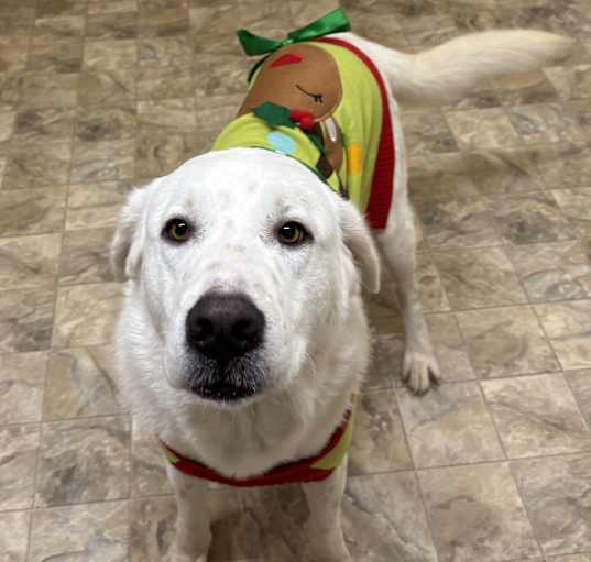 Photo of Storm