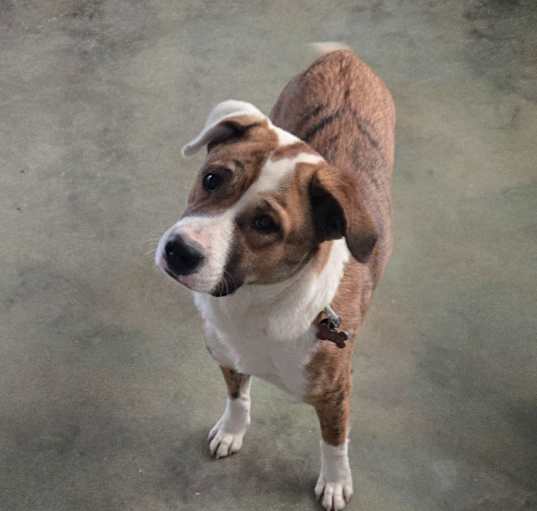 Photo of Sally