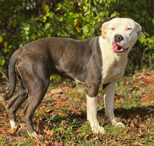 Photo of whisper