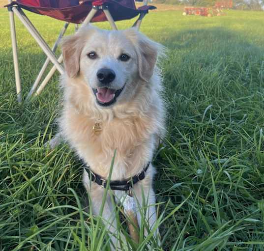 Photo of Louie