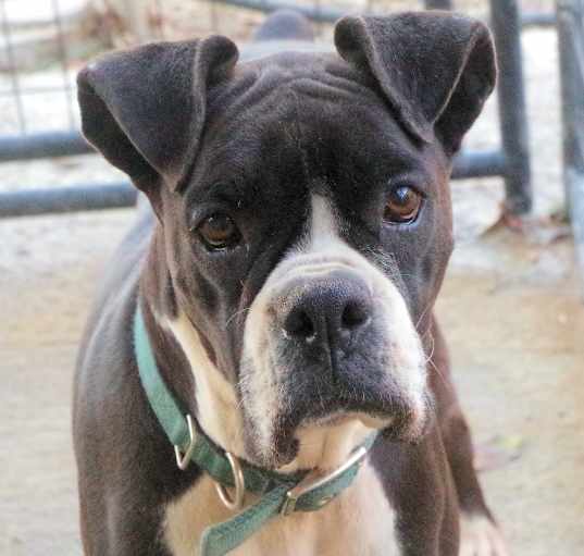 Photo of STAR