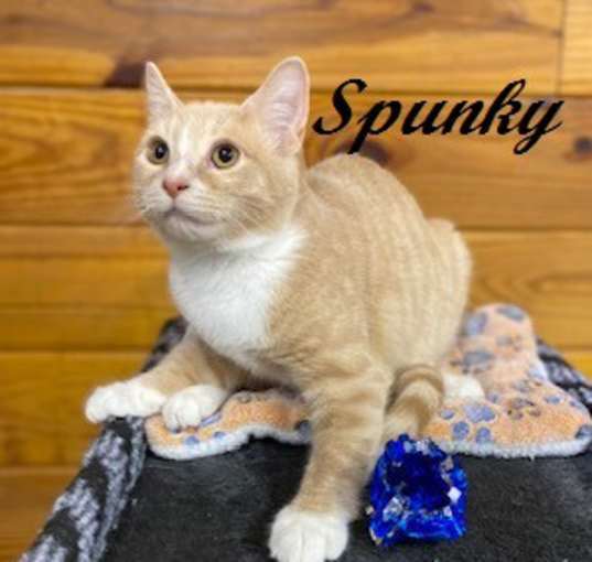 Photo of Spunky